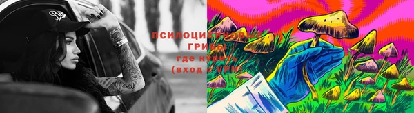 дурь Балахна