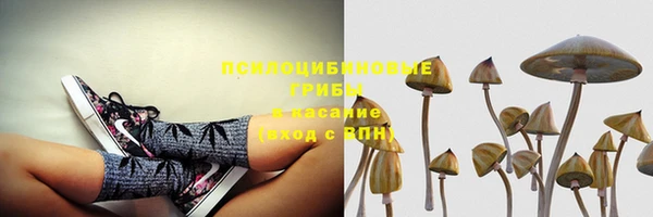 спиды Баксан