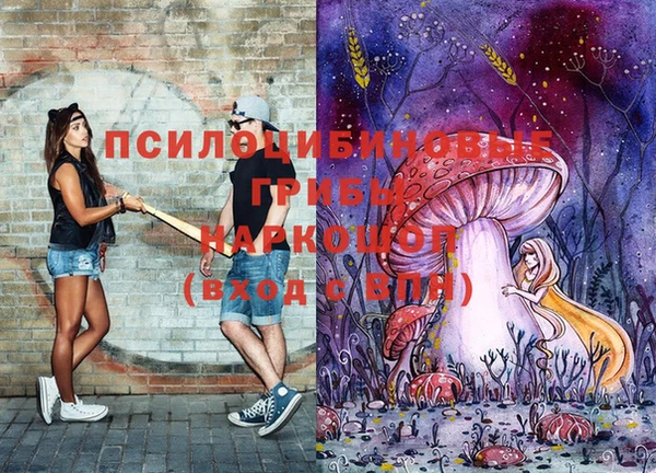 дурь Балахна