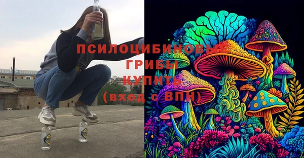 PSILOCYBIN Балабаново