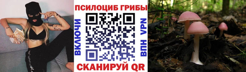 купить  сайты  Обоянь  Псилоцибиновые грибы ЛСД 