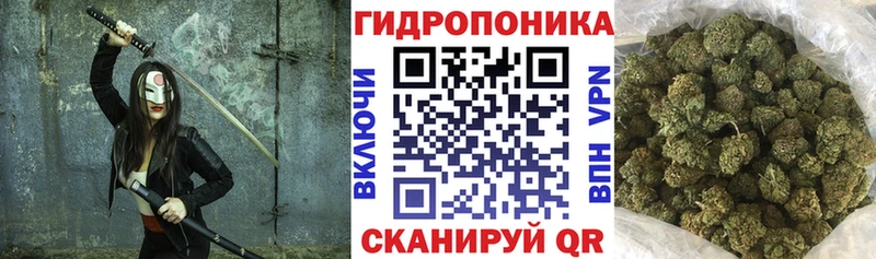 Бошки марихуана сатива  магазин продажи   Обоянь 